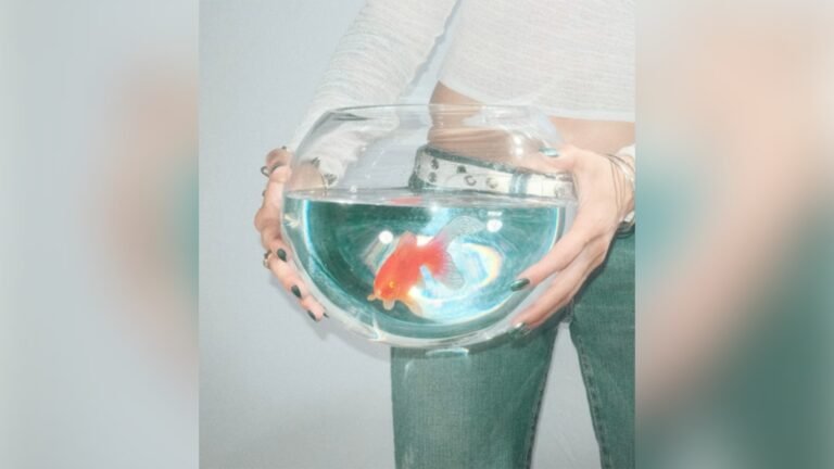 Capa do álbum "frog song" do fish narc.