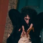 PH Mazza - Kapusta Golema Foto: Divulgação