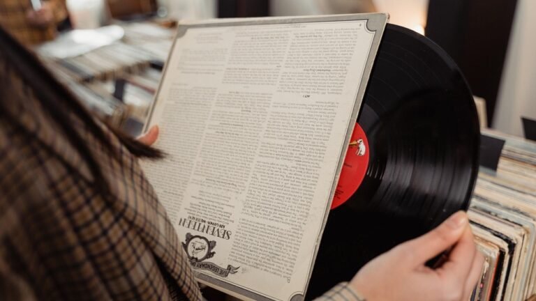 Vinil. Crédito: Pixabay.
