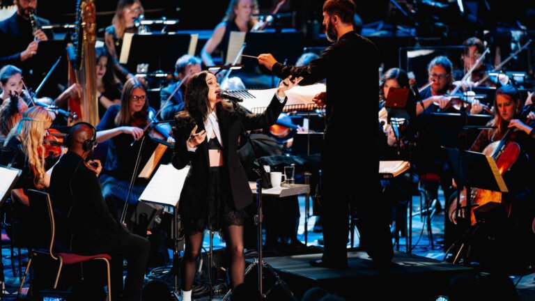 St. Vincent. orchestral show. Andy Paradise