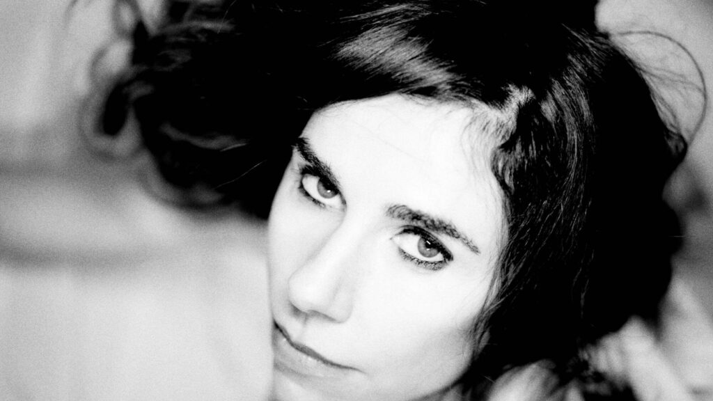 PJ Harvey. Steve Gullick