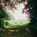 Ratboys entrega seu álbum mais completo em “Singin’ to an Empty Chair”