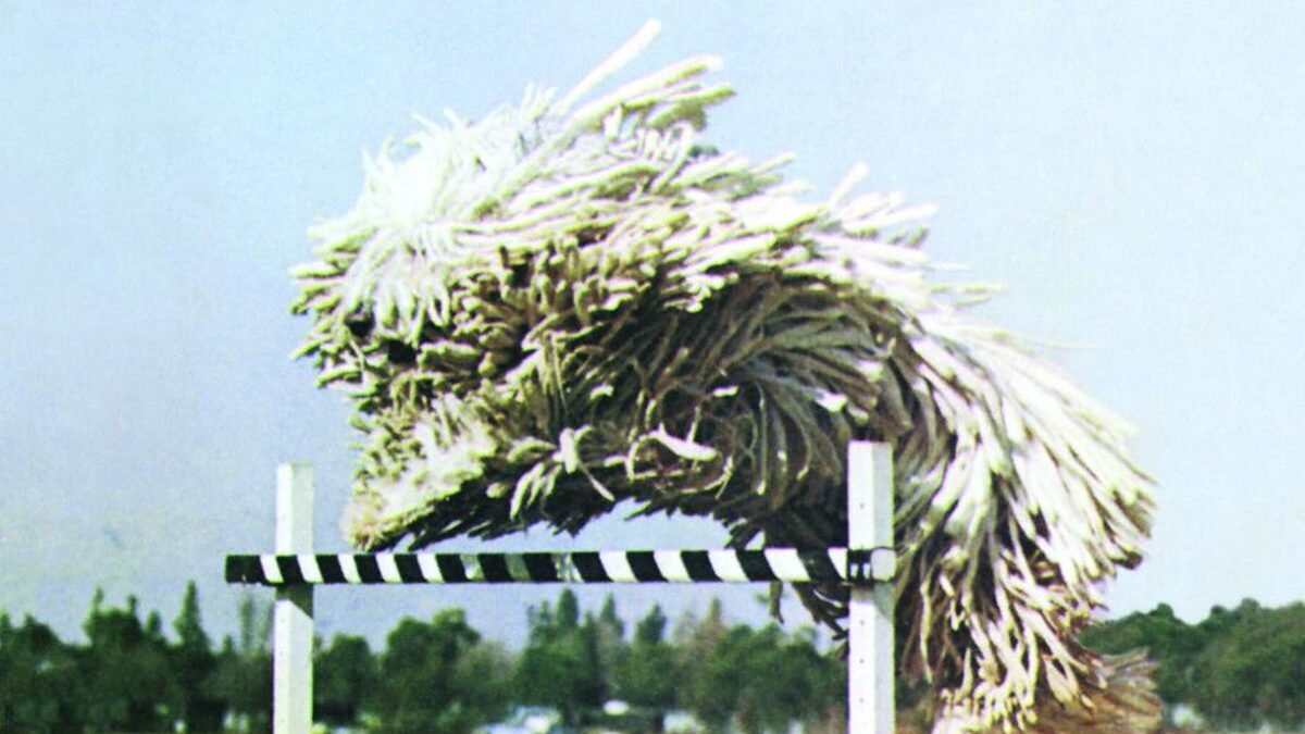“Odelay”, álbum de Beck que renovou o rock alternativo, completa 30 anos