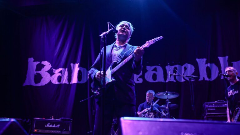 Babyshambles. Pete Doherty of  in 2026